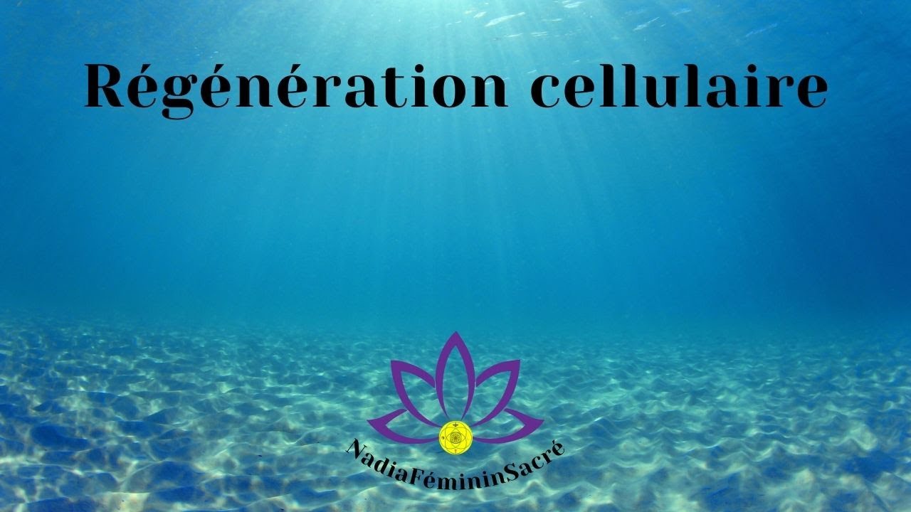 Chant des baleines - Ressourcement en profondeur - Régénération cellulaire - détente et relaxation