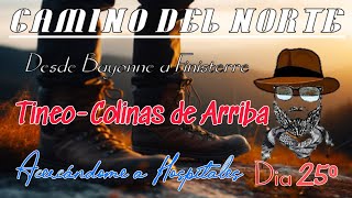 Camino del Norte (de Bayonne a Finisterre) DÍA 25⁰: Tineo - Colinas de Arriba 21,9 km
