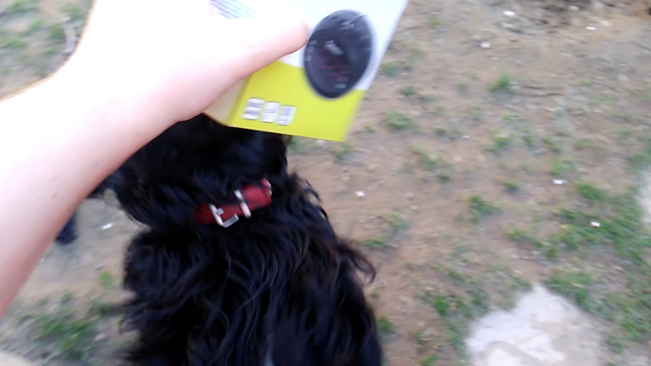 Selecline Clock radio unboxing video