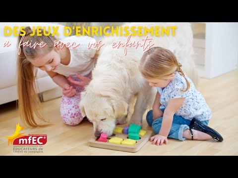 Vidéo: Apprendre en jouant: Jeux pour chiens et enfants