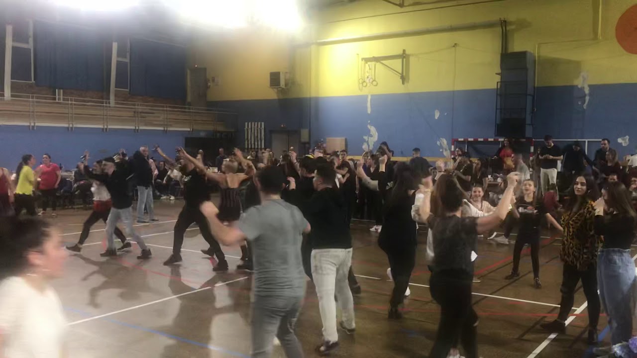 Cana verde dos galos