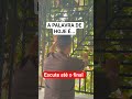 Jesus é o meu Deus #gospel #jesus #motivacional #amen