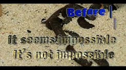 Manafest - Impossible (lyrics) - Durasi: 3.56. Manafest - Impossible (lyrics) - Durasi: 3.56.