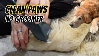 Oneisall Grandmaster Pro 1 (PC14) — Honest Dog Clipper Review