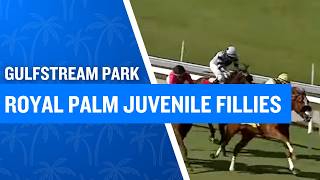2026 $125,000 Royal Palm Juvenile Fillies at Gulfstream Park