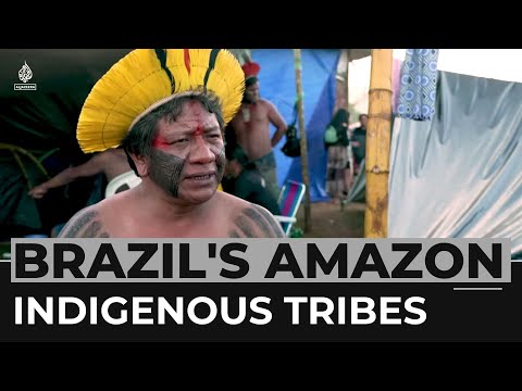 Brazil's Indigenous tribes unite to protect the Amazon