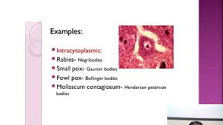 LAB DIAGNOSIS OF VIRAL DISEASES