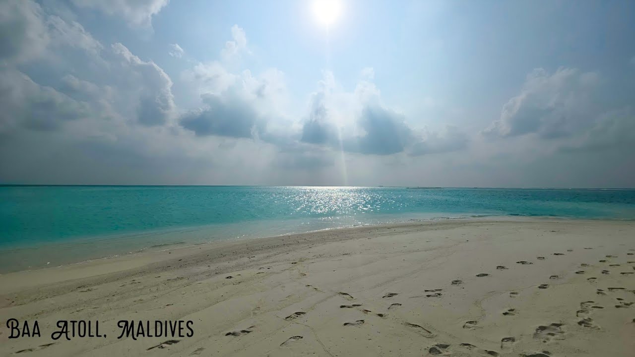 Baa Atoll, Maldives,Underwater Realm