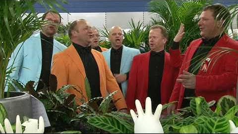De Vingerplant - 