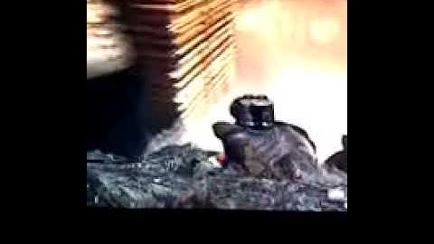 MW3 HARDHAT HIDING SPOTS/GLITCHES