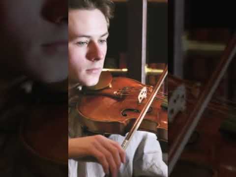 Video: ¿Cuántos violines stradivarius existen hoy en día?