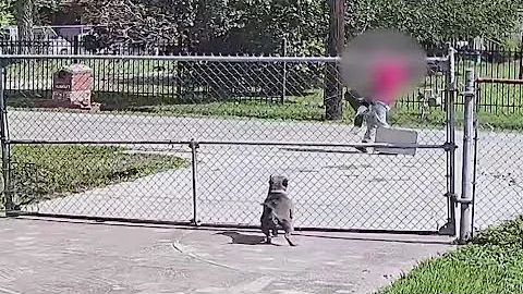 Suspected kidnapping caught on video in Harris County now being investigated as human trafficking