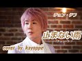 新曲【止まない雨】チョン・テフ cover🎤kayoppe