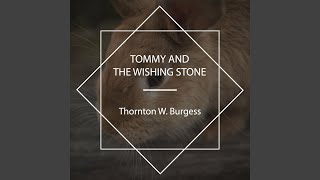 Tommy Learns What It Is Like to Be a Bear - SweetHome