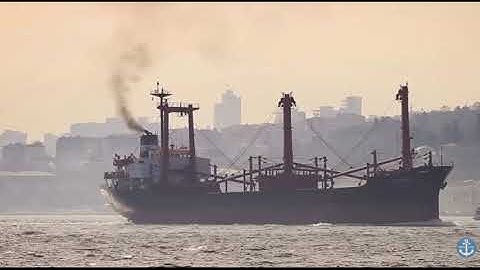 Critical Infrastructure - Global Shipping