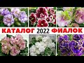 🌺 ФИАЛКИ на  2022 год ☑️  КАТАЛОГ моих СОРТОВ