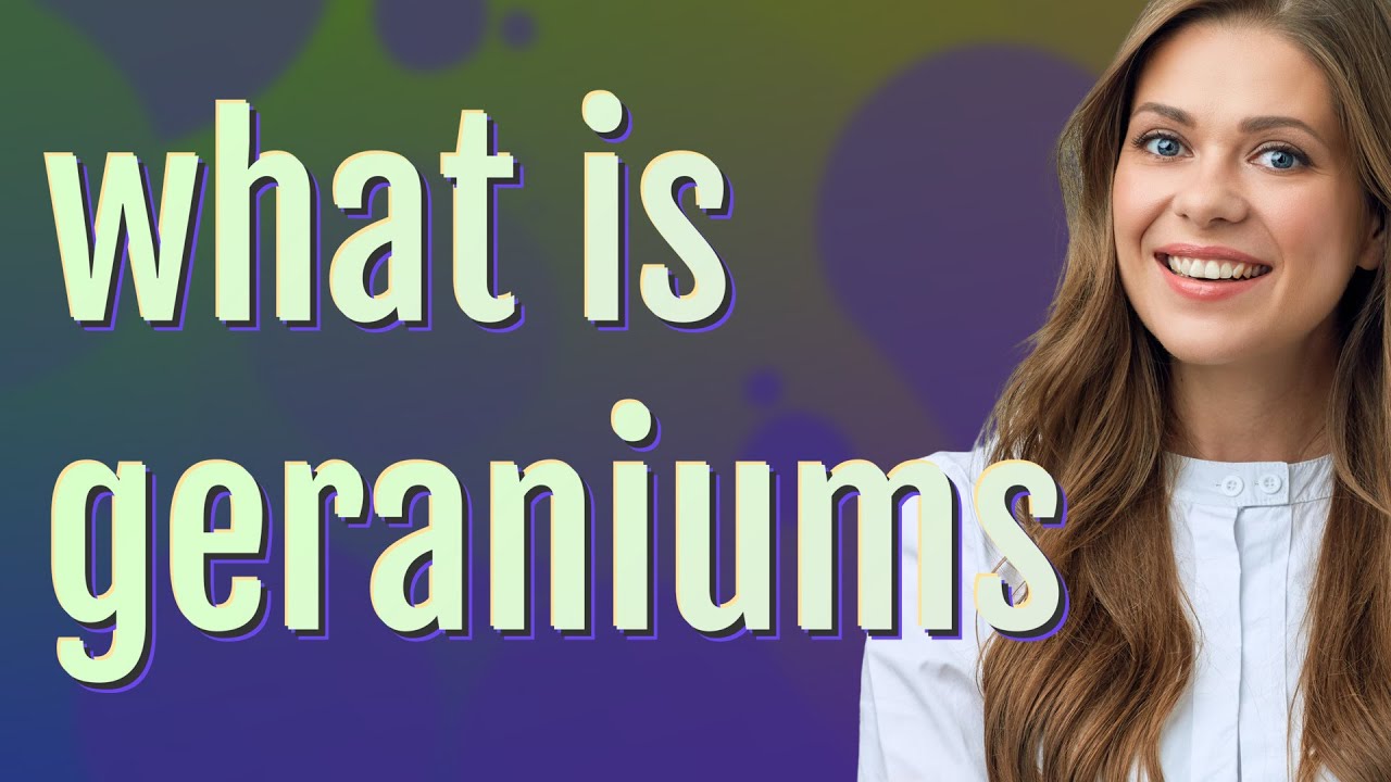 Geraniums | meaning of Geraniums