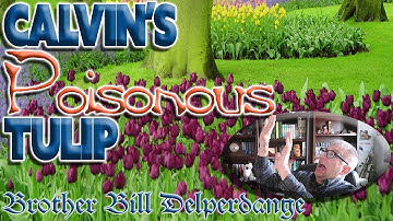 Calvin’s Poisonous Tulip | A Biblical Examination of Calvinism