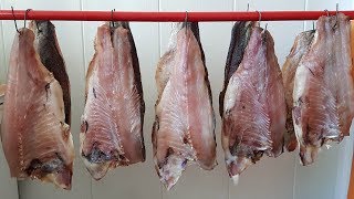 Как правильно вялить рыбу дома – полезные статьи о рыбе