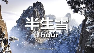 【无损音质】蒋雪儿 - 半生雪（女声版）| 半生风雪 吹不散岁月留下的眼泪 | 动态歌词 | 循环 | 一小时版本