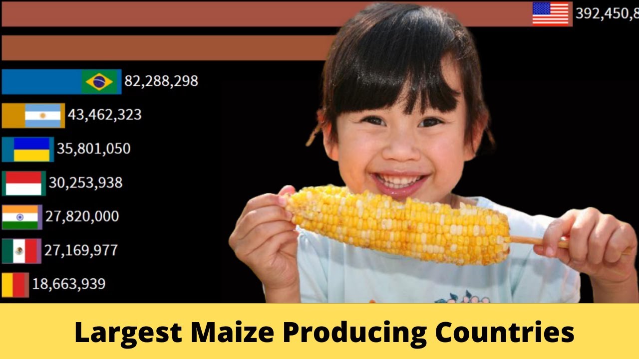 Corn on the Cob or Canned Corn?????  Largest Maize Producing Countries in the World 1961-2018