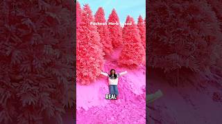 Travel Places That Seem Unreal | Ep 2 ✈️