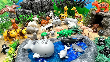Safari World With Lego Duplo Animals | Tiger Shark Whale Lion Cow Animal toys