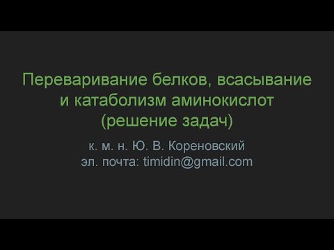 Переваривание белков, всасывание и катаболизм аминокислот (решение задач)