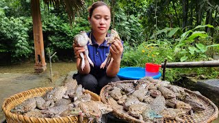 VIDEO FULL: 150 Days Harvest Frog, Fish, Egg, Fruit Goes market sell - Cooking, Garden, Farm.