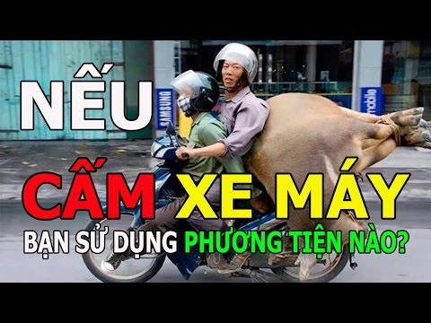 Cả nước hoang mang nếu cấm xe máy thì đi bằng xe gì bây giờ? - Cả nước hoang mang nếu cấm xe máy thì đi bằng xe gì bây giờ?