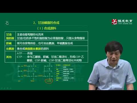 第06章 脂质代谢4