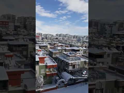 برد وضباب والدنيا شديدى مواااال