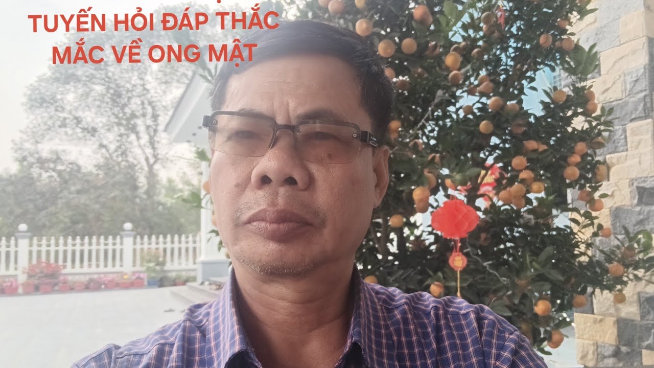 Kỹ thuật nuôi ong Ninh Phương đang phát trực tiếp!Ai thắc mắc trả lời ngay