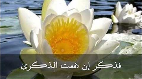 سورة الأعلى بصوت الشيخ وليد المرزوقي