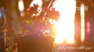 مع كل شمس☀️ للصباح نسائم🌄♥️💥🌹🤍🌷🌺🌷🌿🥀♥️🌺⚘️ تروي القلوب بمائها الرفرافي