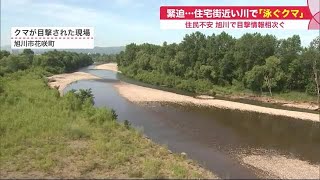 1か月で10件以上…旭川市の住宅地付近でクマ目撃多発 河川敷で