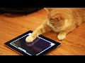 10 Strangest Apps