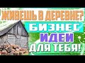 ТОП-3 БИЗНЕС ИДЕИ ДЛЯ ДЕРЕВНИ В ДОМАШНИХ УСЛОВИЯХ