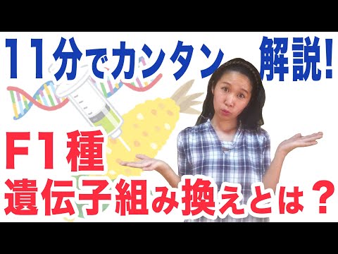 プロが教える！伝家宝・雑種・GMOの違いを家庭菜園で活かす選び方