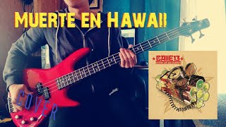 Calle 13 - Muerte En Hawaii (bass cover)