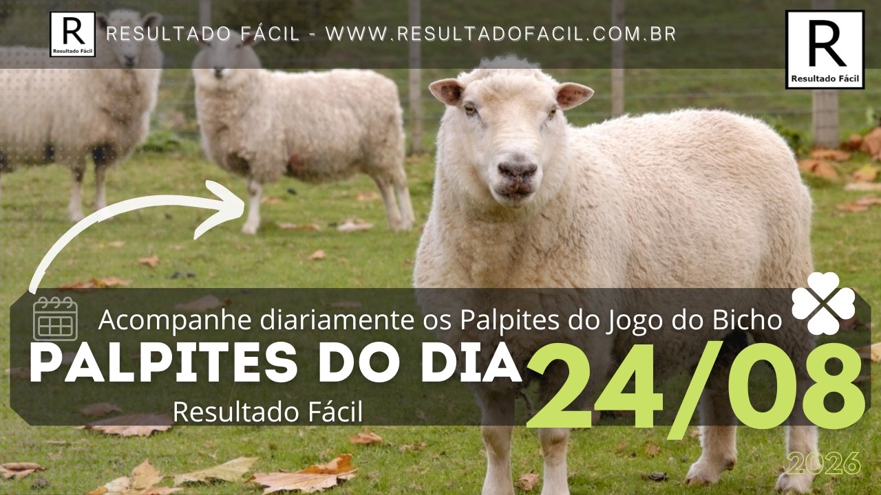 Palpites do dia Jogo do Bicho para o dia 24/08/2026