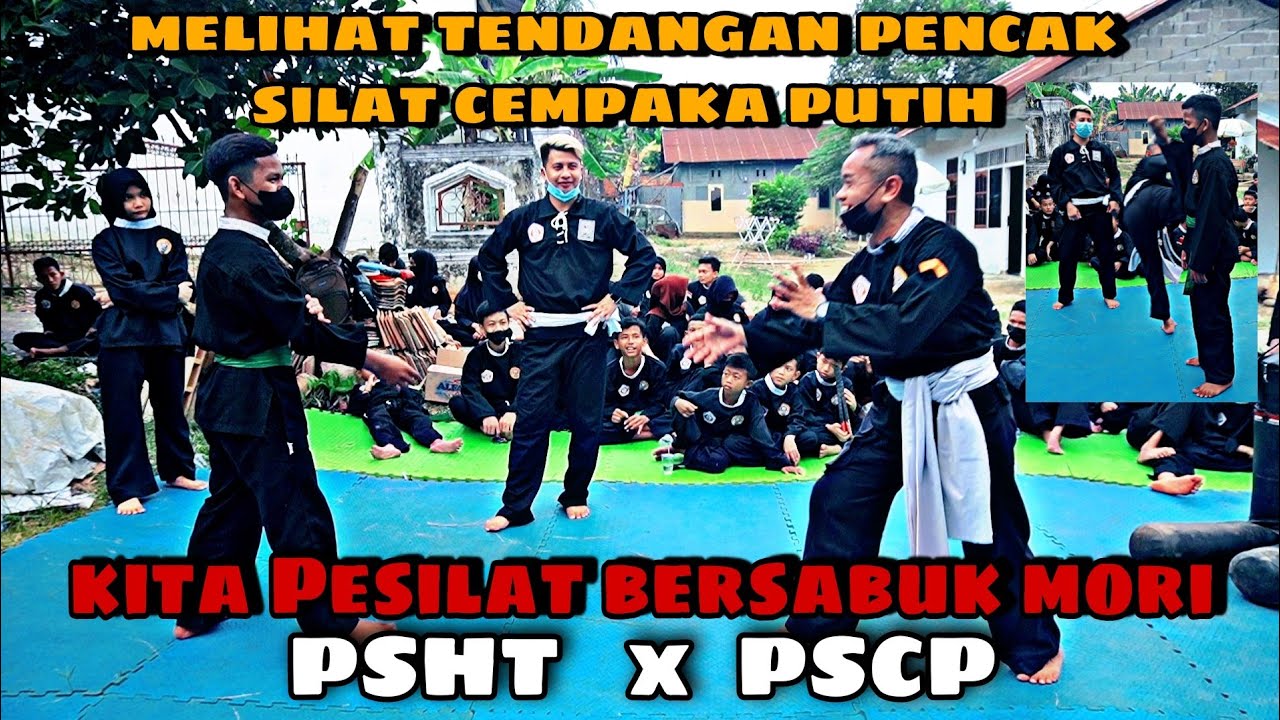 PSHT x PSCP || Denny Melihat Tendangan Pencak Silat Cempaka Putih