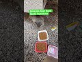 #kedi #cat #köpek #dog #keşfet #youtube #reels #viral #shorts #short #funny #fyp #almanya #avrupa