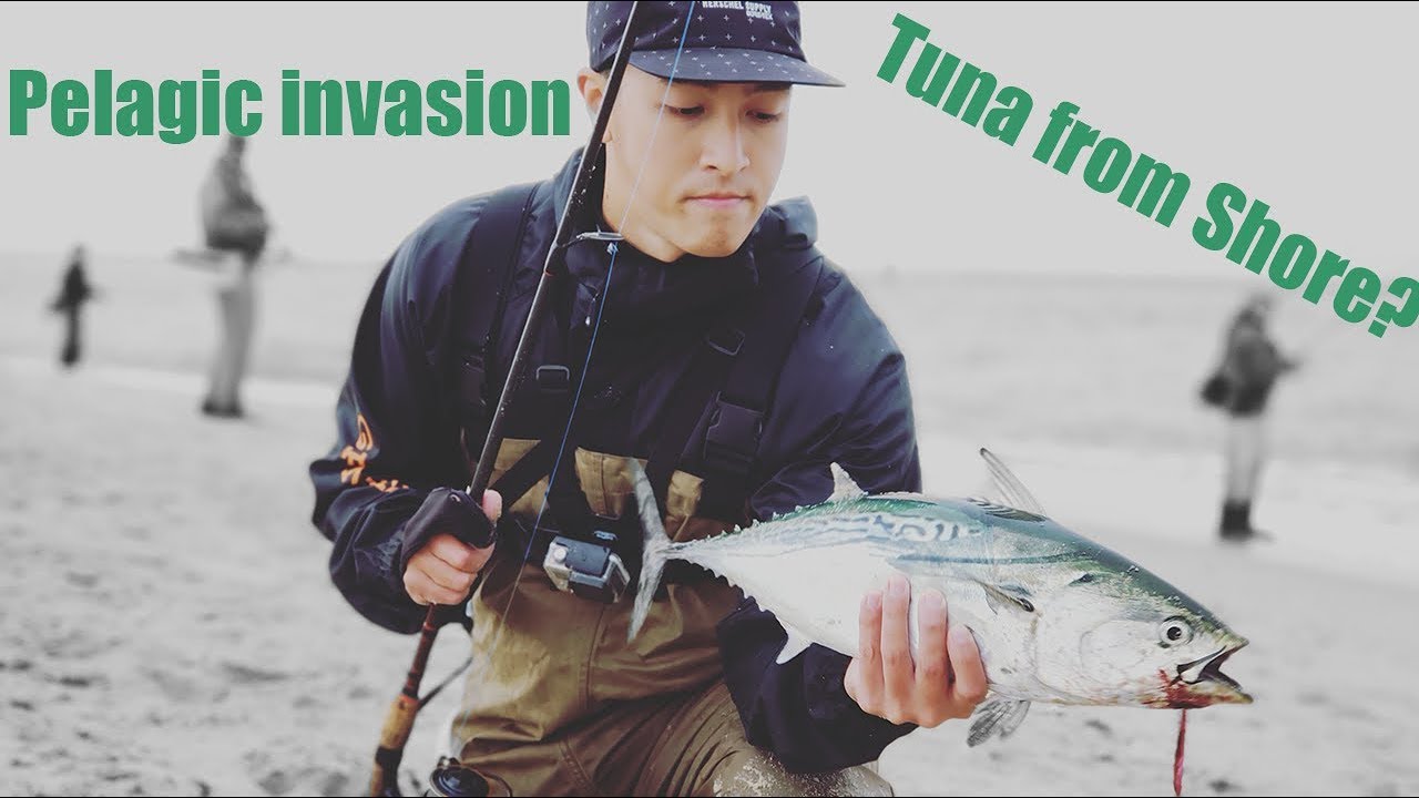 Fishing for Tuna on the Jersey Shore? YouTube