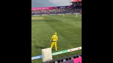 David Warner Pushpa dance in Stadium 😂🔥 #shorts