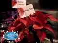 Cablevision neighborhood journal  painted poinsettias
