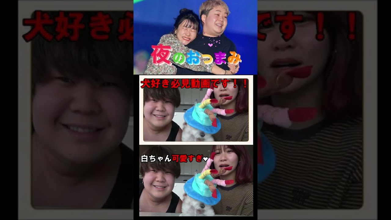 【夜のひと笑い】可愛い担当：白米