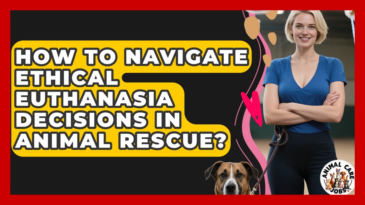 How To Navigate Ethical Euthanasia Decisions In Animal Rescue? - Animal Care Jobs