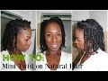 How To | Easy Step by Step Mini Twists on Natural Hair
