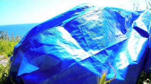 WILL HAVEN - Held To Answer